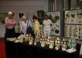 Imkerstand2-HHs-Konzert 2014