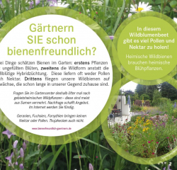 HHs! Wildbienen-infoTafel4 web