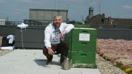 Harburger Rathausforum Thomas Krieger Hoelzer.JPG