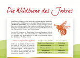 WBSG-Wildbiene des Jahres