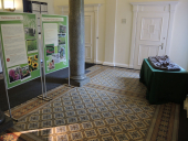 bienentafeln08 wanderausstellung rathaus harburg c hemmer