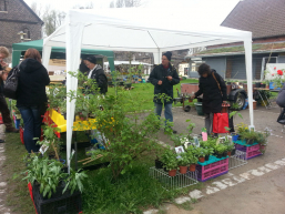 blumenstand zeltdach oekostation unna hemmer