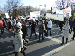 demo wir haben es satt demonstrationszug4 hemmer.JPG