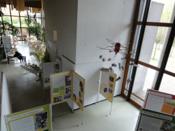 draufsicht ausstellung kultura neuallermoehe c hemmer