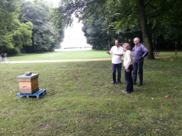 dsummt 02 bienen schloss bellevue c guenter guetling