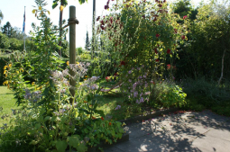 duenkel barbara terrasse c hemmer