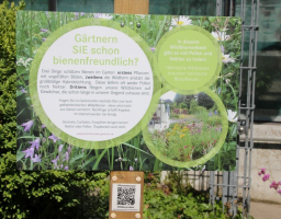 einweihung wildbienenhotel bienenfreundlich gaertnern c hilia hoepker