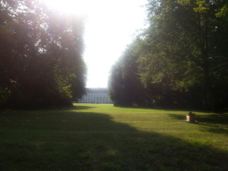 morgenstimmung bienenvolk schloss bellevue c hemmer