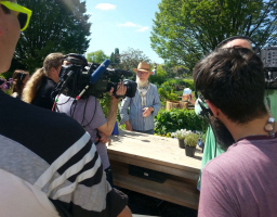 ndr fernsehgarten drehpause john langley c hemmer