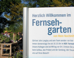 ndr fernsehgarten fernsehgarten mein nachmittag c hilia hoepker