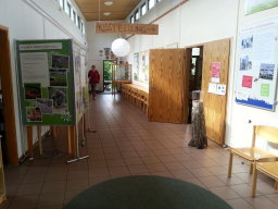 wanderausstellung boberger niederung haengung c hemmer