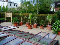 wildbienenhotel pflanzkuebel botanischer sondergarten wandsbek c helge masch