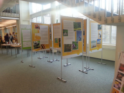 wolfdieter schnurre bibliothek ausstellung hemmer