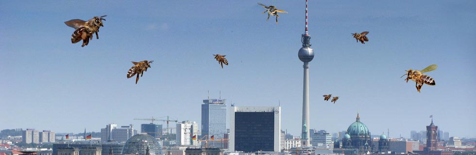 headerBild