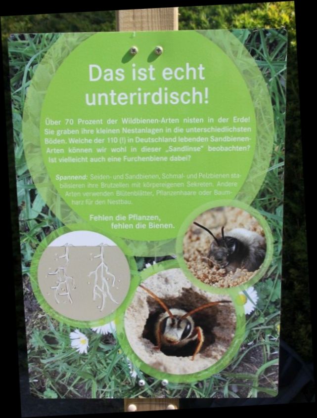 Botanischer Sondergarten Wandsbek Hamburg Summt